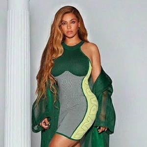 Ivy Park x Adidas knit logo dress. Size XS. NWT.